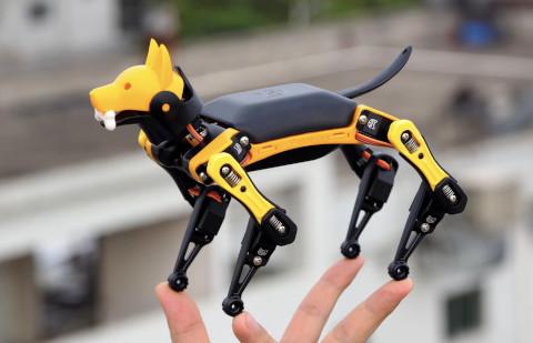 Petoi Bittle: A Palm-sized Robot Dog for STEM and Fun